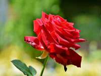 武汉中经尚品网络科技有限公司