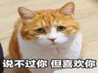 武汉中经尚品网络科技有限公司