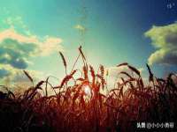 武汉中经尚品网络科技有限公司