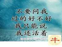 武汉中经尚品网络科技有限公司