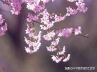 武汉中经尚品网络科技有限公司