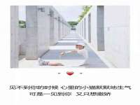 武汉中经尚品网络科技有限公司