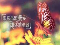 武汉中经尚品网络科技有限公司