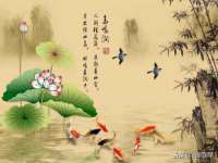 武汉中经尚品网络科技有限公司