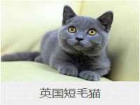 武汉中经尚品网络科技有限公司