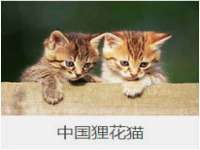 武汉中经尚品网络科技有限公司
