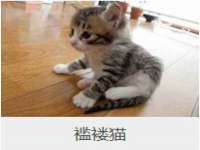 武汉中经尚品网络科技有限公司