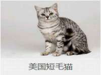 武汉中经尚品网络科技有限公司