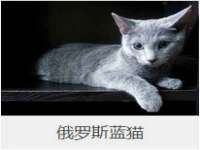 武汉中经尚品网络科技有限公司