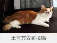 武汉中经尚品网络科技有限公司