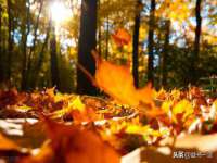 武汉中经尚品网络科技有限公司