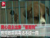 武汉中经尚品网络科技有限公司