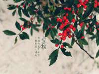 武汉中经尚品网络科技有限公司