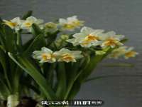 武汉中经尚品网络科技有限公司