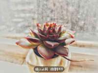 武汉中经尚品网络科技有限公司