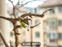 武汉中经尚品网络科技有限公司