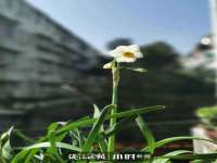 武汉中经尚品网络科技有限公司