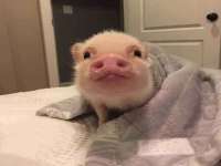 武汉中经尚品网络科技有限公司