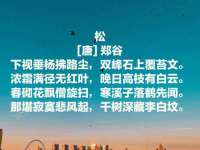 武汉中经尚品网络科技有限公司