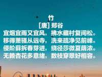 武汉中经尚品网络科技有限公司