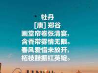 武汉中经尚品网络科技有限公司