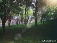 武汉中经尚品网络科技有限公司