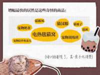 武汉中经尚品网络科技有限公司