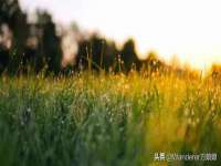武汉中经尚品网络科技有限公司