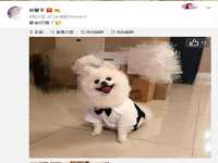 武汉中经尚品网络科技有限公司