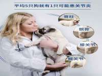 武汉中经尚品网络科技有限公司