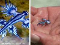武汉中经尚品网络科技有限公司