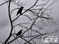 武汉中经尚品网络科技有限公司