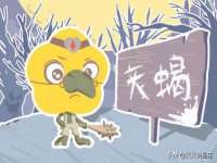 武汉中经尚品网络科技有限公司