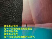 武汉中经尚品网络科技有限公司
