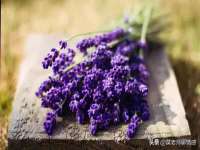 武汉中经尚品网络科技有限公司